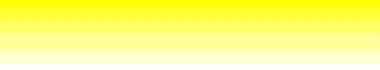 Bannerbild 2
